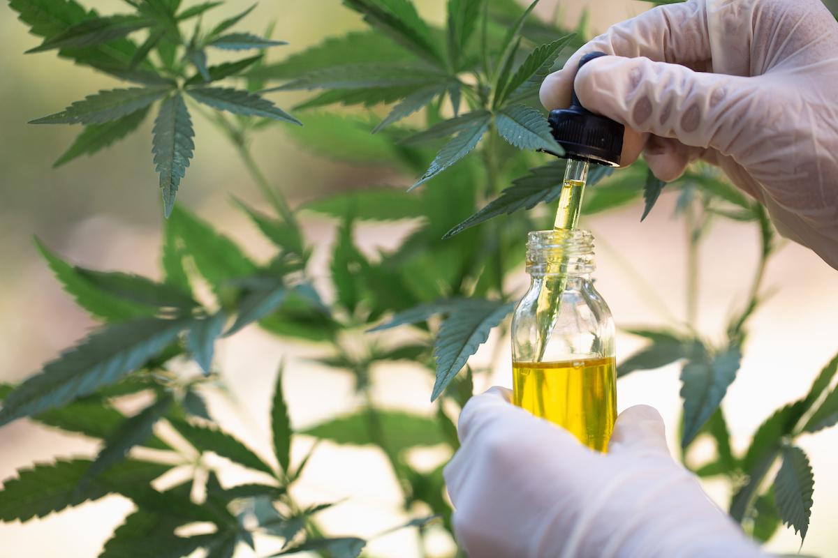 THE TRUTH ABOUT CBD OIL: WHAT USERS ARE SAYING